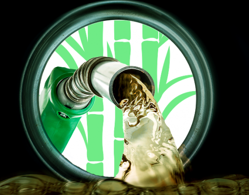 Brasil considera zerar tarifa importação do etanol dos EUA