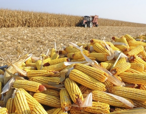 Safra recorde dá alento à economia – Editorial O Estado de S.Paulo