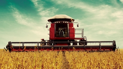 Brasil vê aumento na nova safra de soja; quebra nos EUA traz oportunidades