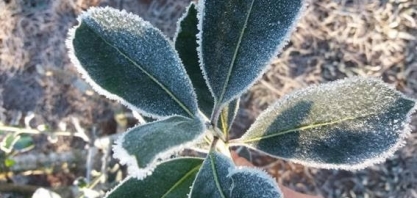 Veja como fica o tempo nesta quarta-feira, 14