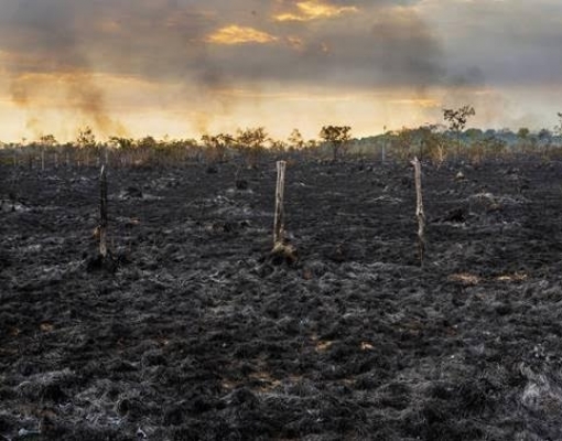 O agro é sempre a primeira vítima nos disparates de Bolsonaro