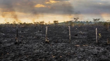 O agro é sempre a primeira vítima nos disparates de Bolsonaro