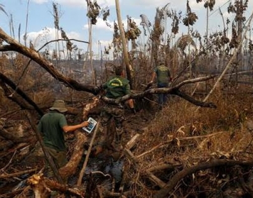 Os entraves à punição de crimes ambientais no Brasil