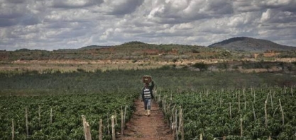 MP flexibiliza contrato de uso da terra e traz risco de judicialização