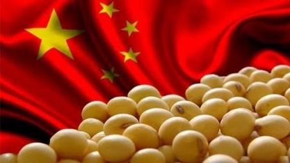China reduz estimativa de importação de soja em 2018/19