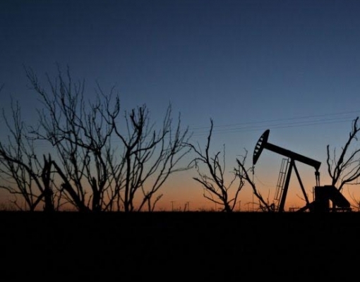 Petróleo abaixo de US$ 20 seria competitivo no futuro, diz BNP