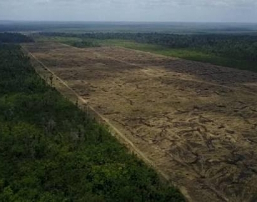 Preservação: Governadores da Amazônia Legal querem negociar com europeus