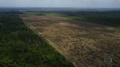 Preservação: Governadores da Amazônia Legal querem negociar com europeus