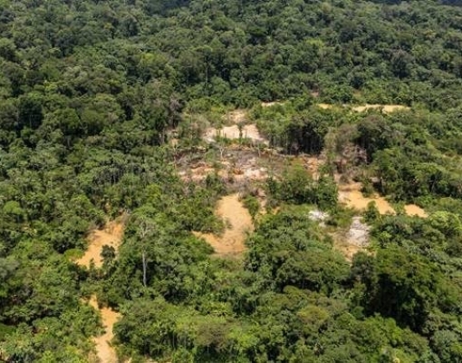 França enfrenta obstáculos para preservar sua parte da Amazônia