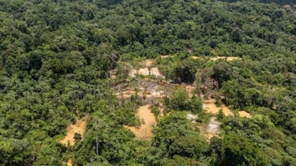 França enfrenta obstáculos para preservar sua parte da Amazônia