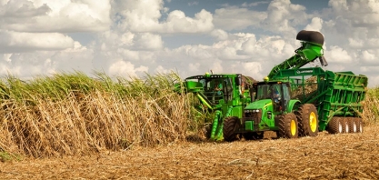 Produção de açúcar cai apesar de moagem histórica no Centro Sul 