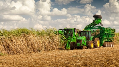 Produção de açúcar cai apesar de moagem histórica no Centro Sul 