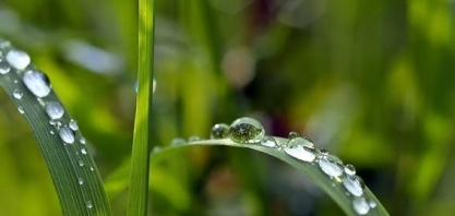 Confira a previsão do tempo para esta 4ª feira