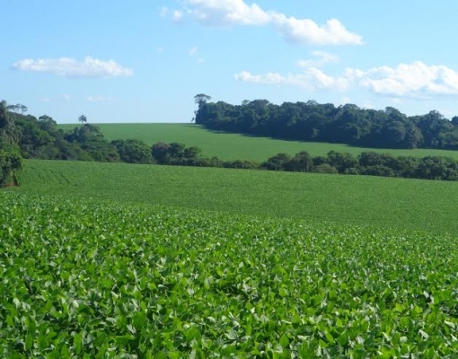Gigantes de fertilizante estimam demanda recorde puxada por soja