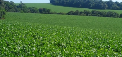 Gigantes de fertilizante estimam demanda recorde puxada por soja