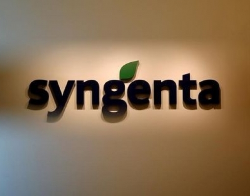 Syngenta planeja maior IPO do setor químico global 