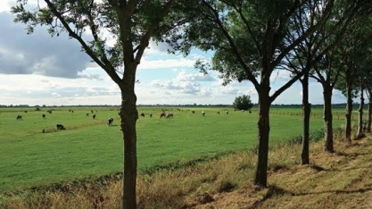 Confira a previsão do tempo para esta quarta, 7