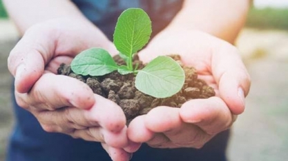 O agronegócio consciente e responsável,respeita e preserva o meio ambiente