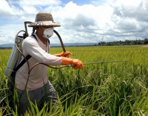 Fertilizantes: Entregas caíram 9,2% em março ante ano anterior 