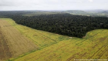 Ministério alemão vai suspender financiamento de projetos na Amazônia