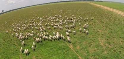 JBS diz que utiliza satélites para monitorar e controlar fornecedores de gado