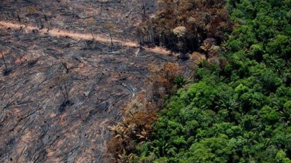 Polêmica sobre Amazônia ganha espaço e pode causar reação de empresas