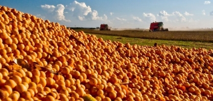 China testa balanço da soja do Brasil, Conab revisita números de safras