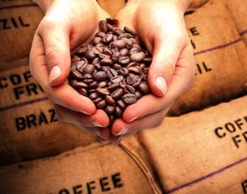 Exportação de café salta 28,2% e tem melhor julho em 5 anos, diz Cecafé  