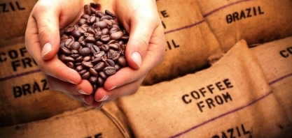 Exportação de café salta 28,2% e tem melhor julho em 5 anos, diz Cecafé  
