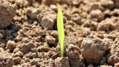 Otimismo: Confiança do Agronegócio marca 111,3 pontos no 2º trimestre