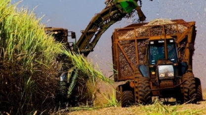 A demanda chinesa aquece a indústria brasileira de etanol