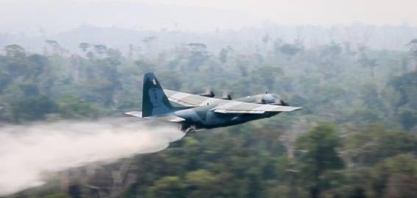 Culpar pecuaristas pobres não impedirá queimadas na Amazônia