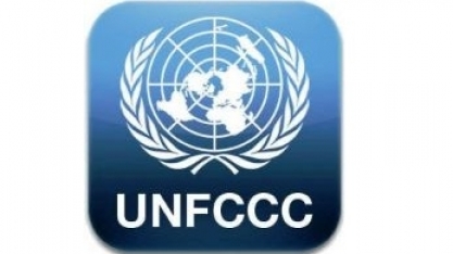 Brasil não tem créditos de carbono para receber da comunidade internacional