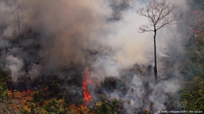 Os incêndios na Amazônia e o poder da pressão internacional