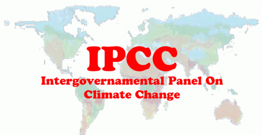 É preciso mudar a maneira como se produz alimento no mundo, alerta IPCC