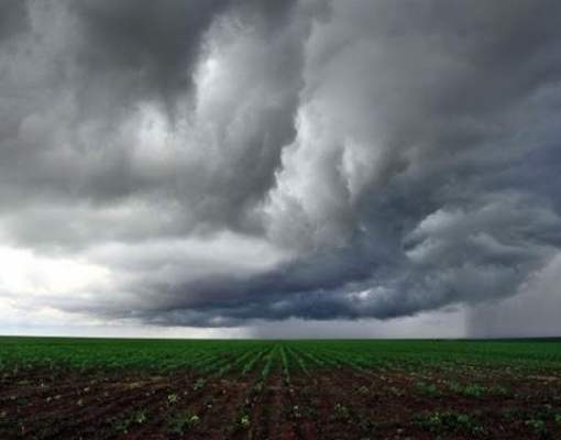 Áreas produtoras só devem ter chuvas regulares na 2ª metade de outubro