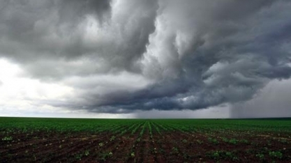 Áreas produtoras só devem ter chuvas regulares na 2ª metade de outubro