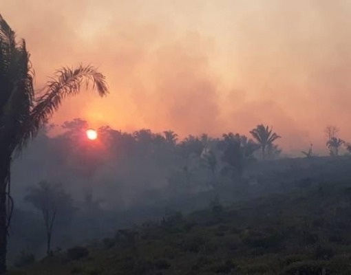 Para governadores,Bolsonaro subestimou crise e ampliou desgaste do Brasil