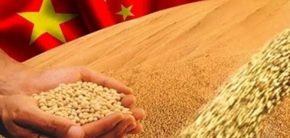 China terá de buscar opções além do Brasil para compras de soja