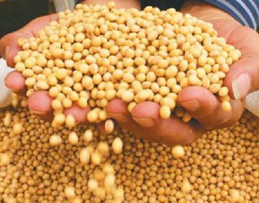 Agronegócio soma US$9,2 bi em exportações em julho, queda de 3,4%