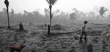 Empresários do agronegócio se posicionam ao governo contra queimadas