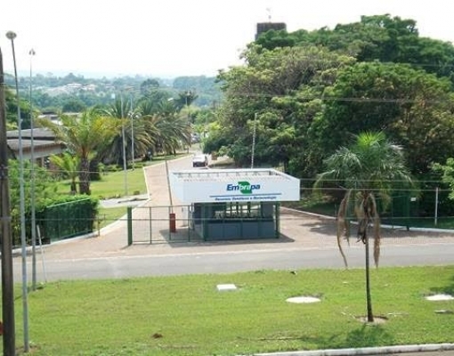 Novo presidente da Embrapa deve ser do setor privado