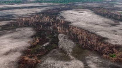 Agronegócio dividido? Lideranças divergem sobre escândalos ambientais