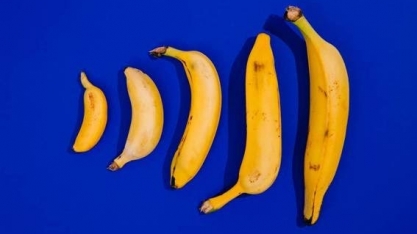 Fungo dizima plantações de bananas pelo mundo