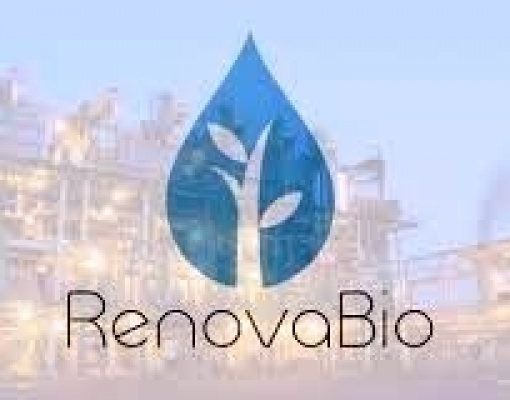 A estratégia das distribuidoras para o Renovabio 