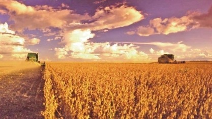 Safra de soja do Brasil pode atingir recorde de 121,4 mi t, diz FCStone 