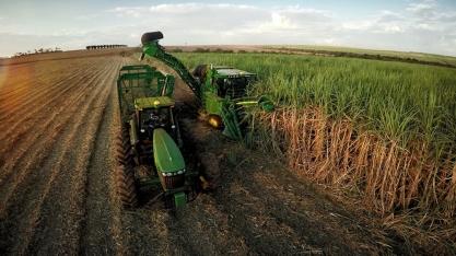 Moagem de cana na 1ª quinzena cresce no CS ante setembro de 2018 
