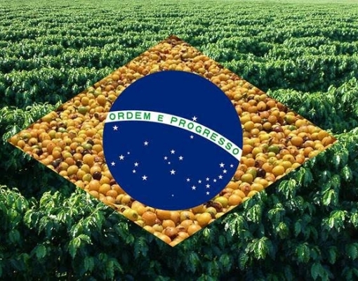 Brasil embarca 2,985 mi de sacas em agosto, + 32% sobre ano anterior 