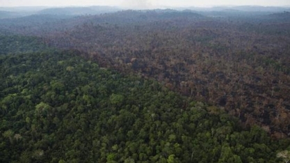 Ministério da Agricultura tira do ar Programa de Regularização Ambiental