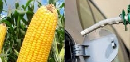 Brasil eleva cota de importação de etanol sem tarifa 